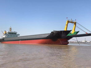 近海甲板船销售与租赁 优质船舶，高效运营方案